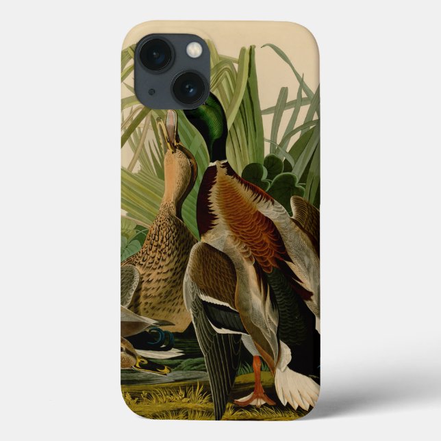 Mallard Duck Audubon Bird Malerei Case-Mate iPhone Hülle (Rückseite)