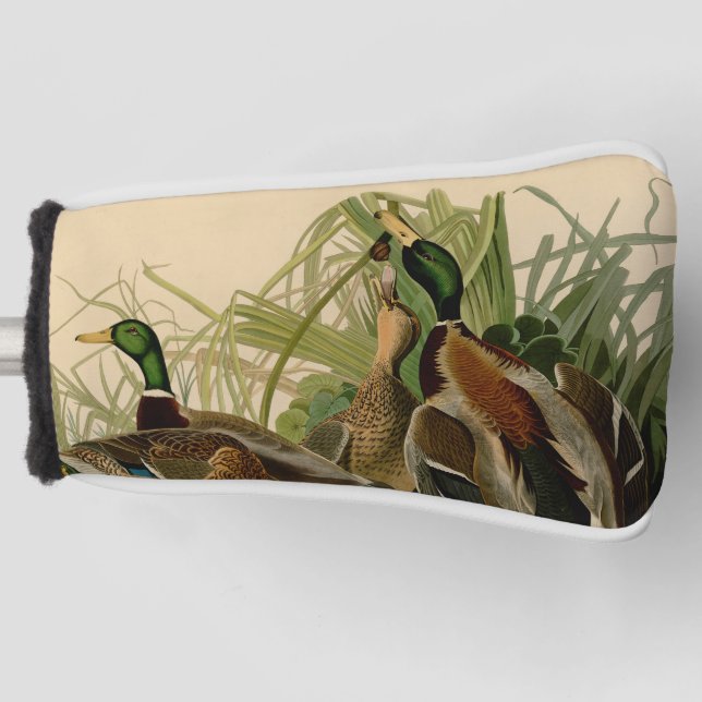 Mallard Duck Audubon Bird Malerei Golf Headcover (Vorderseite)