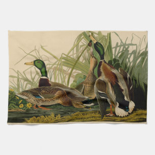 Mallard Duck Audubon Bird Malerei Handtuch