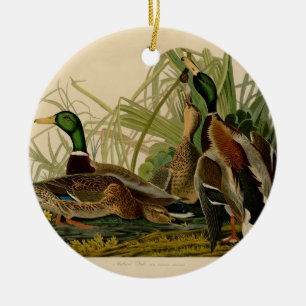 Mallard Duck Audubon Bird Malerei Keramik Ornament
