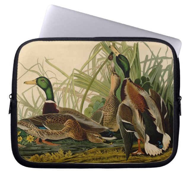 Mallard Duck Audubon Bird Malerei Laptopschutzhülle (Vorderseite)