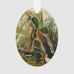 Mallard Duck Audubon Bird Malerei Ornament