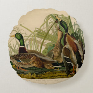Mallard Duck Audubon Bird Malerei Rundes Kissen