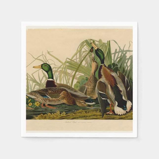 Mallard Duck Audubon Bird Malerei Serviette (Vorderseite)