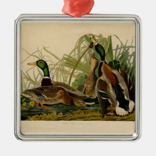 Mallard Duck Audubon Bird Malerei Silbernes Ornament