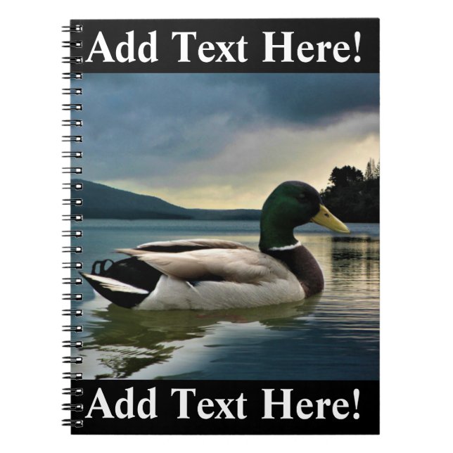 Mallard Duck auf dem See-Notebook Notizblock (Vorderseite)