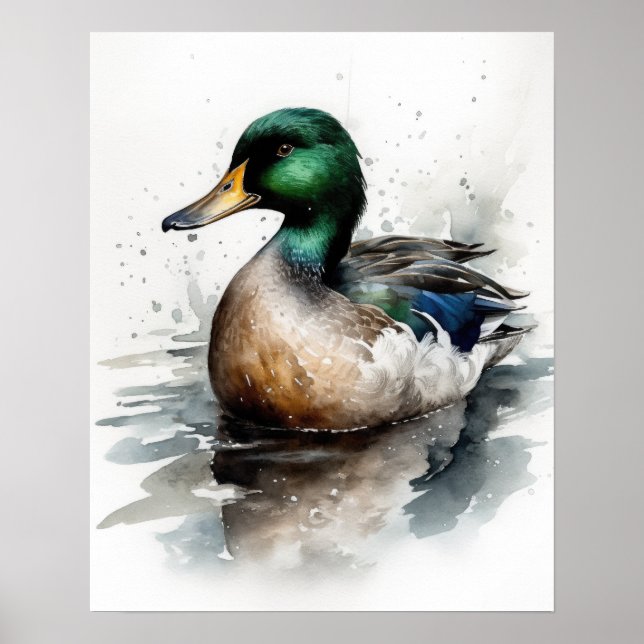 Mallard Duck Bird Art Print Poster (Vorne)