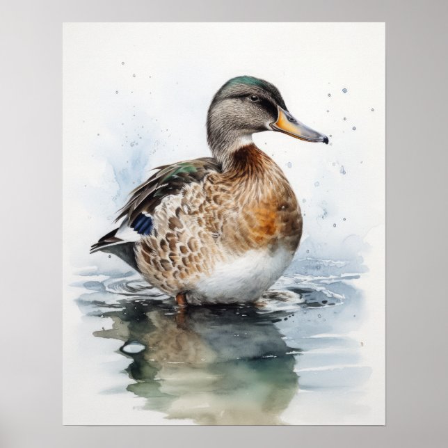 Mallard Duck Bird Art Print Poster (Vorne)