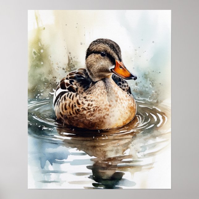 Mallard Duck Bird Art Print Poster (Vorne)