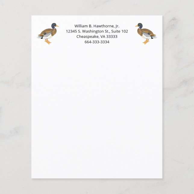 Mallard Duck Bird Nature Animals Waterfowl Men (Vorderseite)