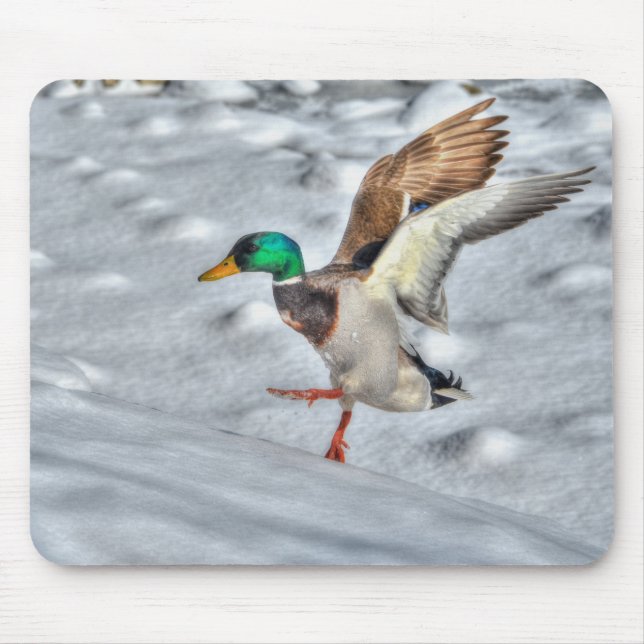 Mallard Duck Birdlover Wildlife Foto Mousepad (Vorne)