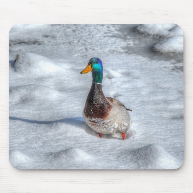 Mallard Duck Birdlover Wildlife Foto Mousepad (Vorne)