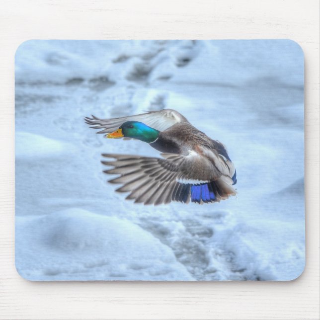 Mallard Duck Birdlover Wildlife Foto Mousepad (Vorne)