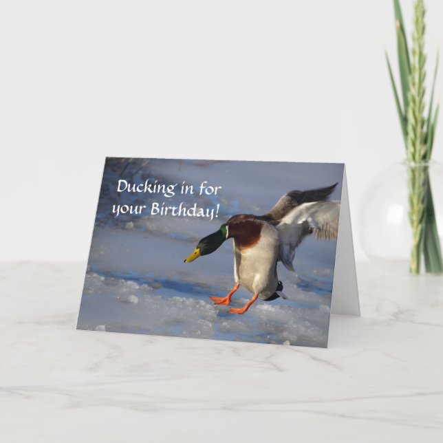 Mallard Duck Birthday Card Karte (Vorderseite)