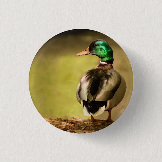 Mallard Duck Button (Vorderseite)