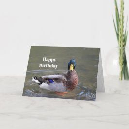 Mallard Duck Drack Water Foto Geburtstag Karte
