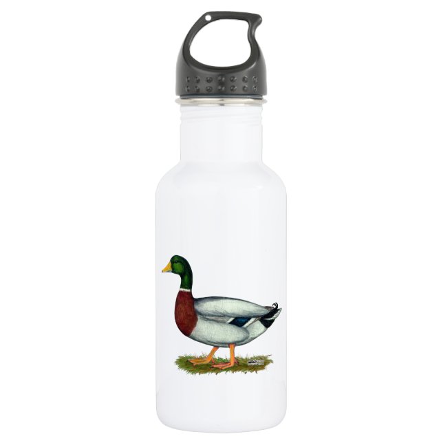 Mallard Duck Drake Edelstahlflasche (Vorderseite)