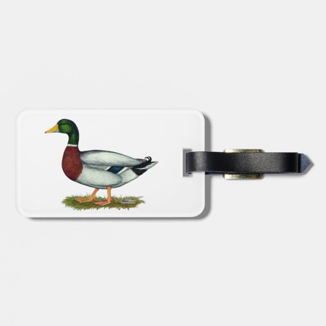 Mallard Duck Drake Gepäckanhänger (Rückseite horizontal)