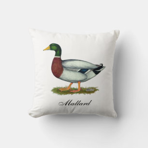 Mallard Duck Drake Kissen