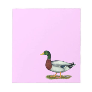 Mallard Duck Drake Notizblock
