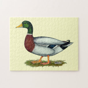 Mallard Duck Drake Puzzle