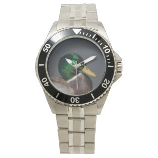 Mallard Duck Drake Stainless Steel Men's Watch Armbanduhr