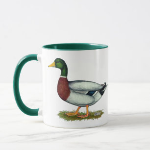 Mallard Duck Drake Tasse