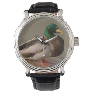 Mallard Duck Drake Watch Armbanduhr