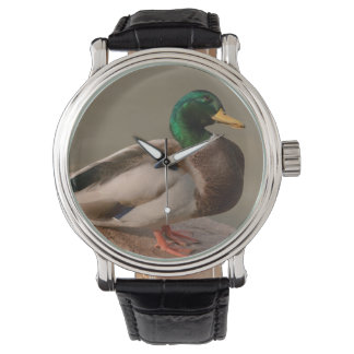 Mallard Duck Drake Watch Armbanduhr