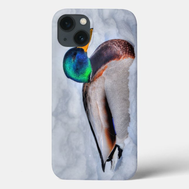 Mallard Duck Drake Wildlife Portrait Case-Mate iPhone Hülle (Rückseite)