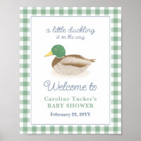 Mallard Duck Duckling Hunting Baby Showroom - Empf
