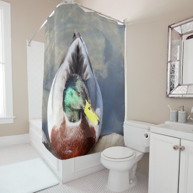 Mallard Duck Duschvorhang (Beispiel)
