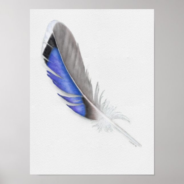 Mallard Duck Feather Watercolor Poster (Vorne)