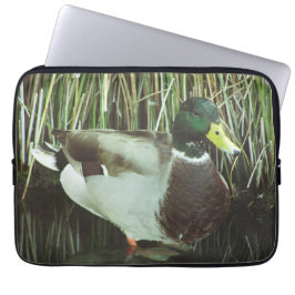 Mallard Duck Foto Ausgezeichnetes Male Lake Bird Laptopschutzhülle