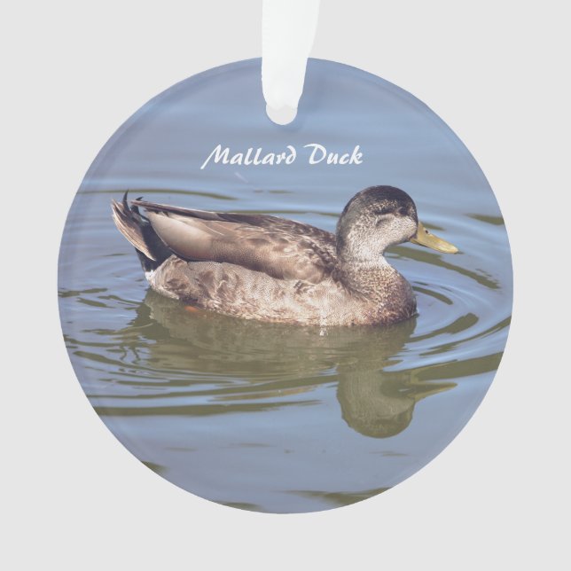 Mallard Duck Foto Ornament (Vorderseite)