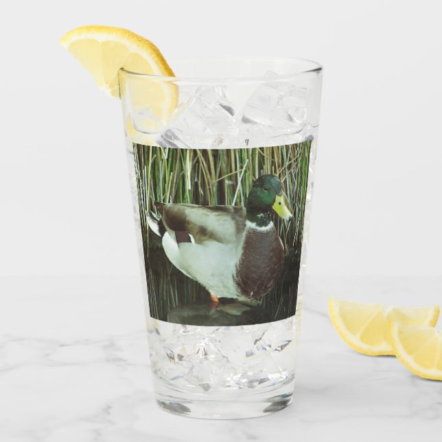 Mallard Duck Foto Outdoorsman Lake Bird Glas (Vorderseite Ice)