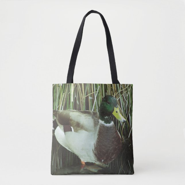 Mallard Duck Foto Wilhelm Tell (Vorderseite)