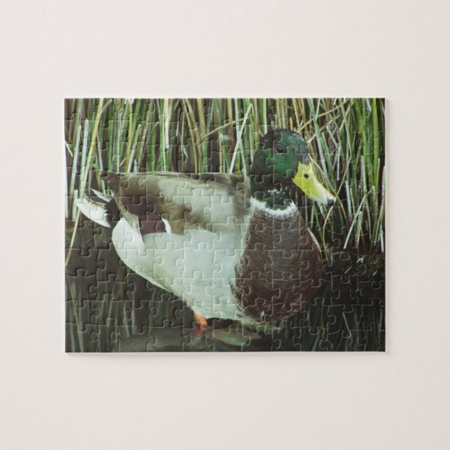 Mallard Duck Foto Wilhelm Tell Puzzle (Horizontal)