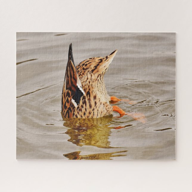 Mallard Duck Füttre unter Wasser Puzzle (Horizontal)