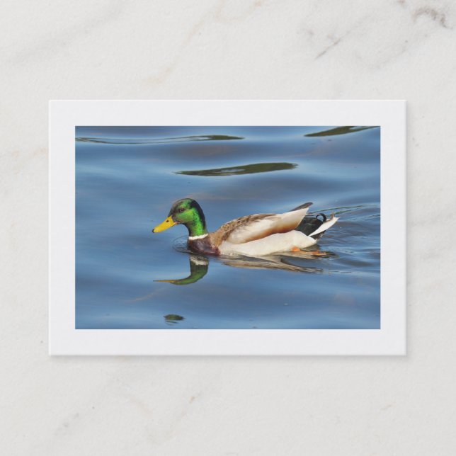 Mallard Duck (grenzt) Visitenkarte (Vorderseite)