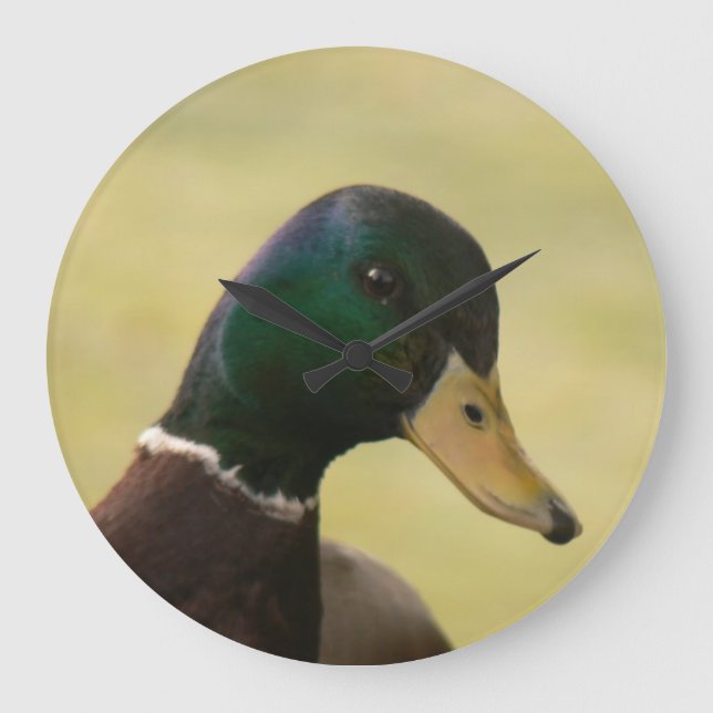 Mallard Duck Große Wanduhr (Vorderseite)