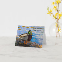 Mallard Duck Grußkarte