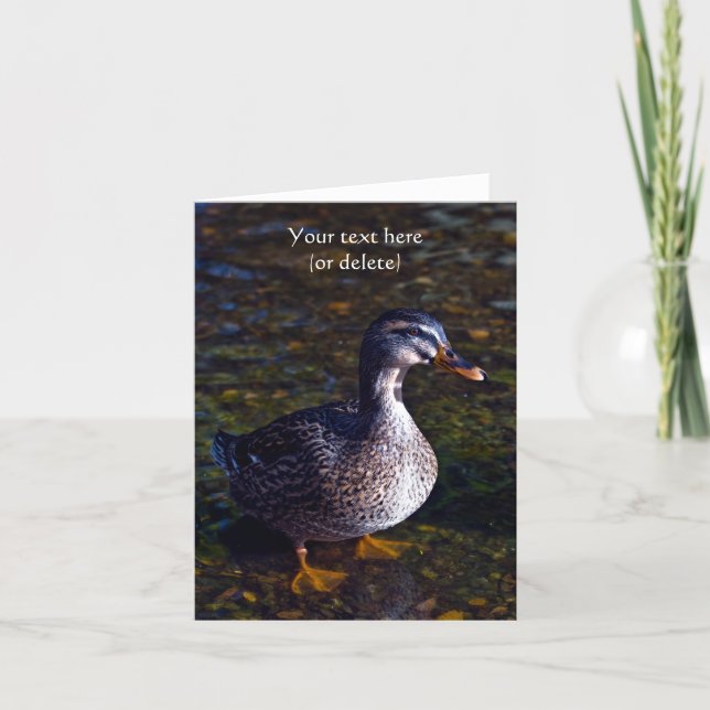 Mallard Duck Grußkarte Karte (Vorderseite)