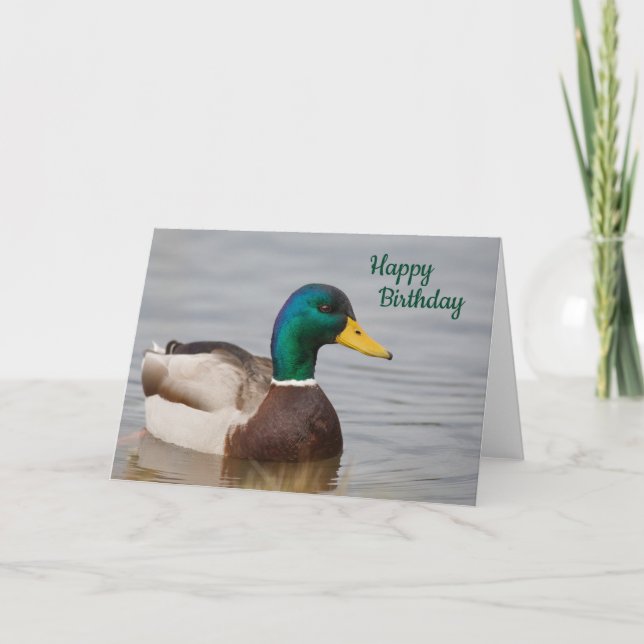 Mallard Duck Happy Birthday Card Karte (Vorderseite)