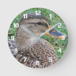 Mallard Duck Hen Foto Große Wanduhr