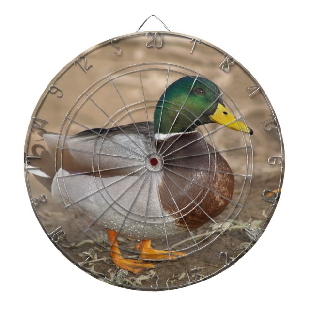 Mallard Duck Hunting Dart Board Dartscheibe (vorne)