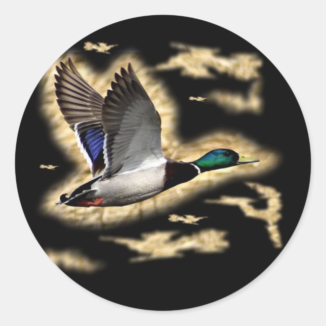 Mallard Duck Hunting Runder Aufkleber (Vorderseite)