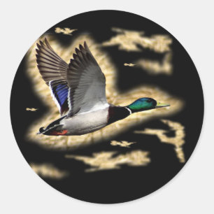 Mallard Duck Hunting Runder Aufkleber