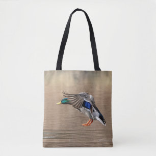Mallard Duck im Flug