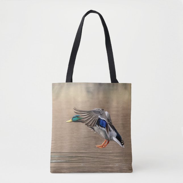 Mallard Duck im Flug (Vorderseite)